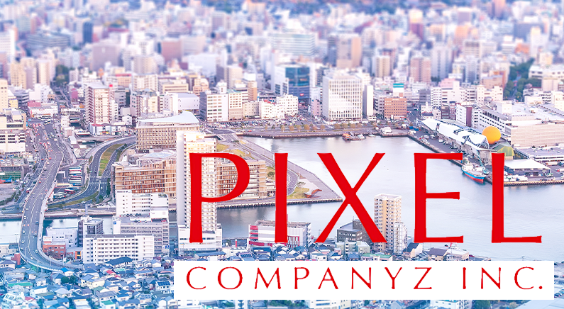 Pixel companyz dd