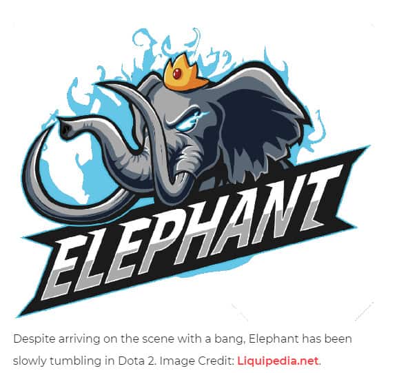 FMWH Dota 2 Championship 3ª Temporada: Elephant